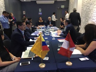 Directores Ejecutivos de Plan Binacional exponen a Vice-Cancilleres líneas de trabajo en el Marco del #XIGabineteBinacional