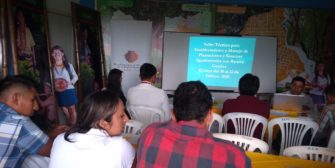 Taller para el manejo del bambú