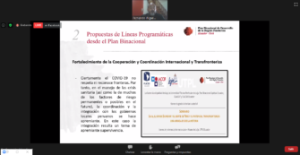 Seminario Virtual «Las iniciativas binacionales y su aporte a la cohesión territorial en el marco del post-COVID»